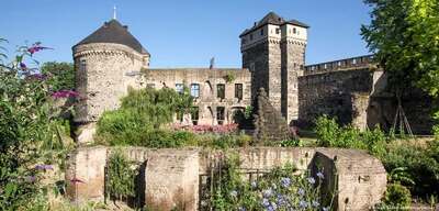 andernach.jpg