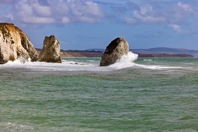 cowes.jpg