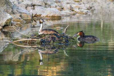 eibsee7.jpg