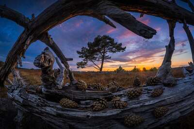 fisheye.jpg