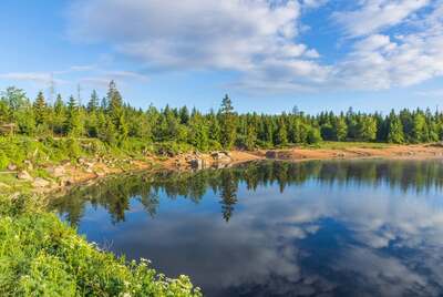 harz14.jpg