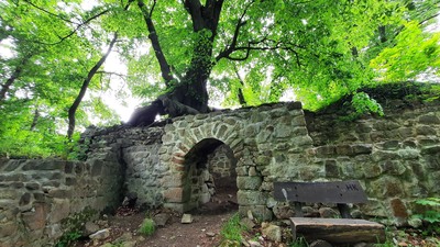 harz2.jpg
