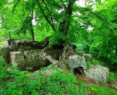 harz3.jpg