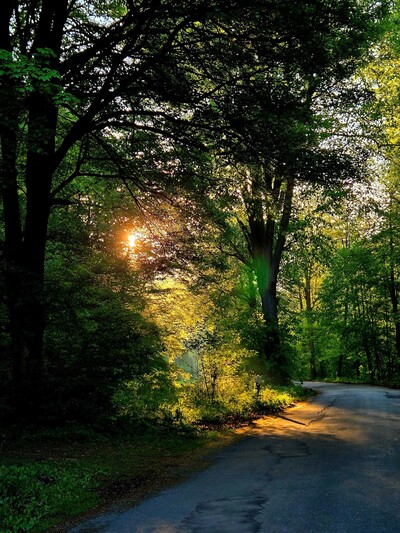 harz8.jpg