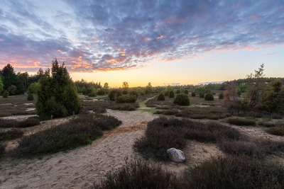 heide.jpg