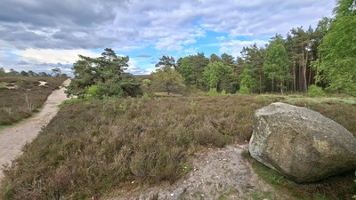 heide10.jpg