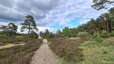 heide11.jpg