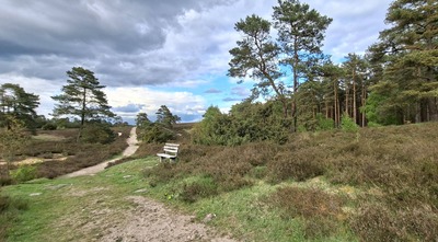 heide12.jpg