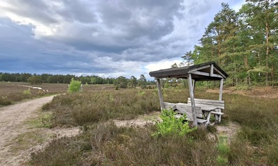 heide14.jpg