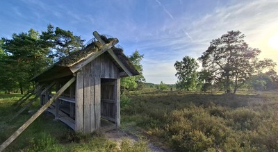 heide16.jpg