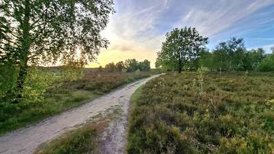 heide20.jpg