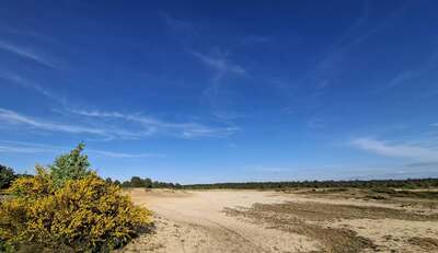 heide22.jpg