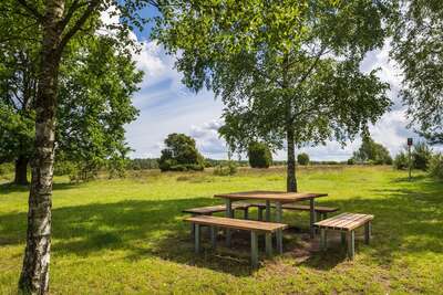 heide28.jpg