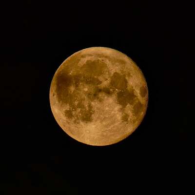 moon1.jpg