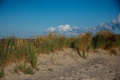 norderney2.jpg