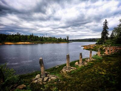 oderteich-harz.jpg