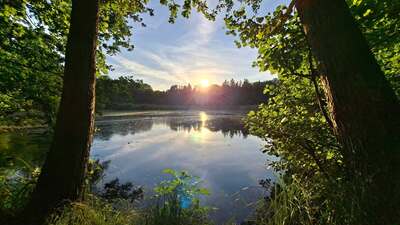 osterbachteich2.jpg