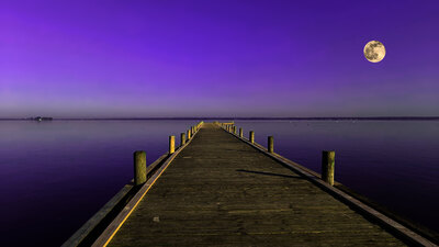 steinhudermeer7.jpg