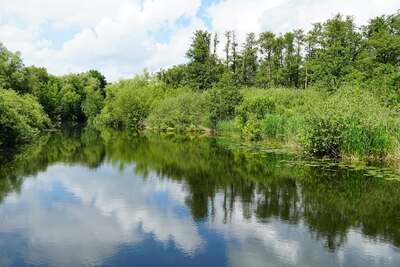 water3.jpg