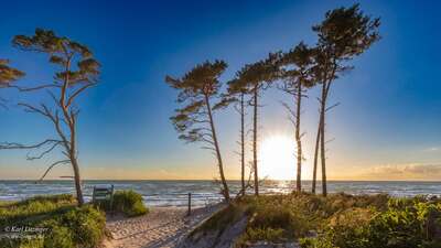 zingst.jpg