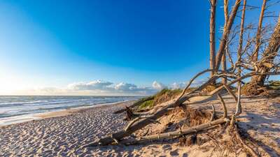 zingst1.jpg