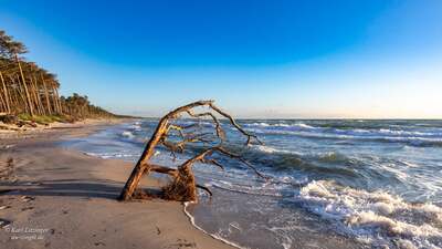 zingst2.jpg