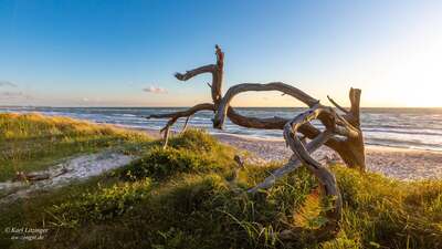 zingst4.jpg