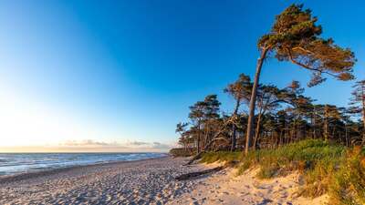 zingst5.jpg